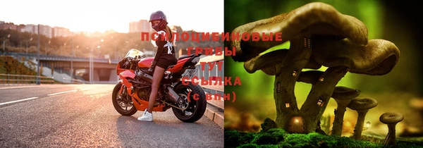 прущие крисы Новокубанск