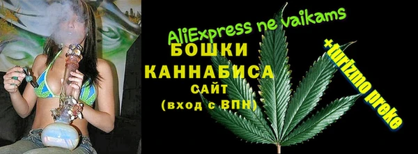 бутират Щучье