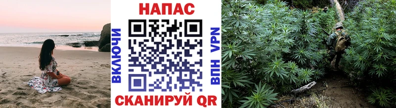 наркотики  Полярный  Марихуана сатива 